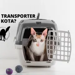 Czarny transporter dla kota: Jaki wybrać? Poradnik 2024