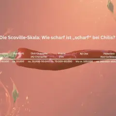 Die Scoville-Skala zeigt, wie viel Scoville hat eine Chili. Von milden Paprika bis zur Carolina Reaper mit über 2 Mio. Scoville.