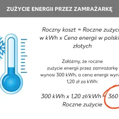 Ile prądu zużywa zamrażarka? Oszczędź nawet 70% energii!