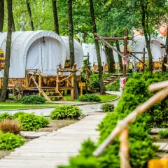 Wagony kempingowe w stylu western, idealne na wyjazd gdzie z dzieckiem w Krakowie. Drewniane ścieżki i bujna zieleń tworzą magiczny klimat.