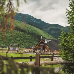 Drewniana bacówka z napisem "Sery" na tle zielonych Tatr.
