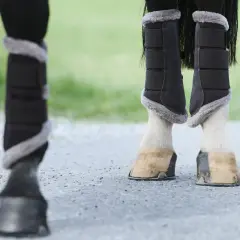 Pferdebeine mit gamaschen, die Schutz und Wärme bieten. Diese sind ein wichtiger Teil der Ausrüstung für das Wohlbefinden des Pferdes.