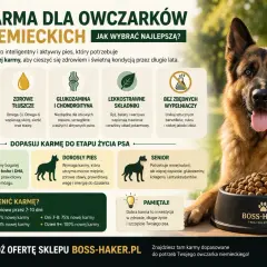 Jaka karma dla owczarka niemieckiego? Wybieraj tę z wysoką zawartością mięsa, glukozaminą i bez zbędnych wypełniaczy. Dopasuj do wieku psa.
