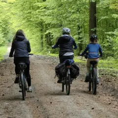 Trzy osoby na rowerach przemierzają leśną ścieżkę. Wspaniała leśno rajza pośród zieleni.