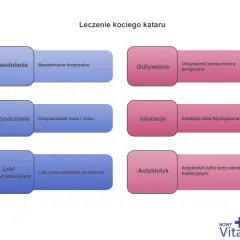 Schemat leczenia kociego kataru: nawadnianie, odżywianie, oczyszczanie, inhalacja, leki przeciwbólowe i antybiotyk w razie potrzeby.