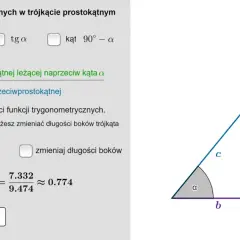 Sinus: Co to jest? Zrozum funkcję od trójkąta po GPS!