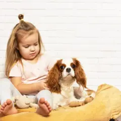 Najlepszy pies dla dziecka? Rasy, koszty i porady dla rodziców