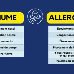 Tableau comparant les symptômes du rhume et des allergies. Le rhume inclut écoulement nasal, congestion, éternuements, mal de gorge et fièvre. Les allergies présentent aussi ces symptômes, mais avec en plus picotements de gorge, yeux rouges et troubles...