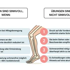 Grafik erklärt, wann Übungen bei Schienbein Schmerzen sinnvoll sind (Schmerzrückgang) und wann nicht (Druckschmerz, Entzündung).