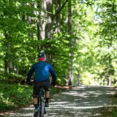 Rowerzysta na ścieżce leśnej, podążający za zielonym szlakiem. Słońce przebija się przez liście drzew.