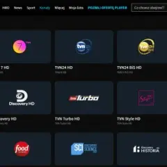 Delta Media Player jakie programy - poznaj najlepsze kanały i treści