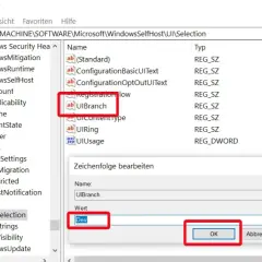 Bearbeiten des Windows 11 Registry-Eintrags "UIBranch" auf "Dev" im Registrierungs-Editor.