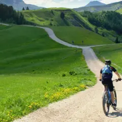 Rowerzysta przemierza malowniczą dolnośląską krainę rowerową, wijącą się wśród zielonych wzgórz i kwitnących łąk.