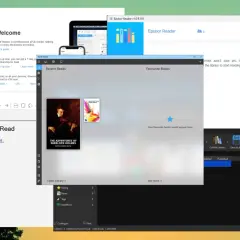 Interface d'un lecteur ePub pour Windows 10, montrant des livres récents et des favoris.