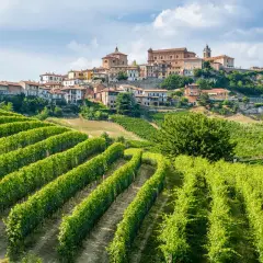 Colline verdi con vigneti rigogliosi e un borgo storico in cima. Un assaggio di cosa vedere a Voghera, tra paesaggi mozzafiato e storia.