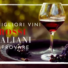 Un calice di rosso rubino, uva e un barile: l'essenza del miglior vino rosso italiano da scoprire.