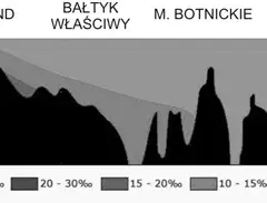 Jakie jest zasolenie Bałtyku? Zaskakujące różnice i przyczyny