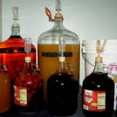 Wiele butli z płynami do fermentacji, w tym wino i sok. Czy mieszać wino podczas fermentacji?