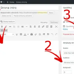 Jak postawić stronę na WordPress bez zbędnych trudności i błędów