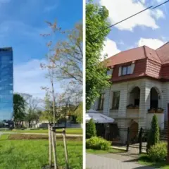 Gdzie zjeść w Zabrzu? Odkryj najlepsze restauracje i smaki