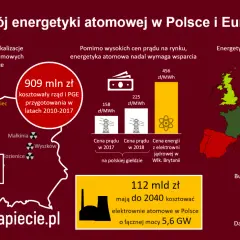 Globalny atom: Ile reaktorów działa i gdzie rośnie moc jądrowa?