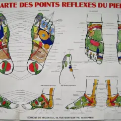 Carte des points réflexes du pied, un guide visuel pour le point reflexologie plantaire et ses bienfaits.
