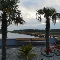 Pomarańczowy rower czeka na odkrycie **tras rowerowych Łódź** nad spokojną wodą, wśród palm i drewnianych ławek.