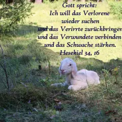 Ein Lamm liegt im Gras, während göttliche Worte aus Hesekiel 34, 16, wie in Johannes 14, Trost spenden.