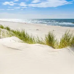 Piasek, trawa i fale nad Bałtykiem. Słońce odbija się od wody, tworząc jasną smugę na horyzoncie.