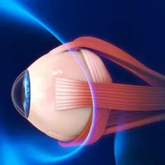 Anatomical illustration of a human eye with optic nerve and muscles, against a dark blue background with blue light effects.