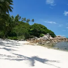 En vit sandstrand med palmer och en grön kulle möter det turkosa vattnet. En idyllisk kubmanet thailand-dröm.