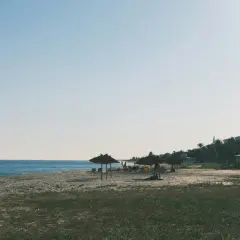 Spokojne tunezyjskie morze, piaszczysta plaża z kilkoma parasolami i palmami w tle. Idealne miejsce na relaks.