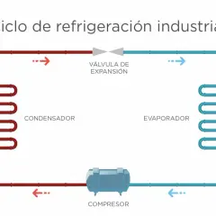 Diagrama del ciclo de refrigeración industrial: compresor, válvula de expansión, condensador y evaporador.
