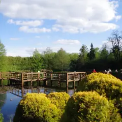 Drewniany mostek nad stawem, otoczony zielenią, zaprasza do spaceru. To idealne miejsce na relaks i podziwianie piękna natury, jedna z wielu **bolestraszyce atrakcje**.