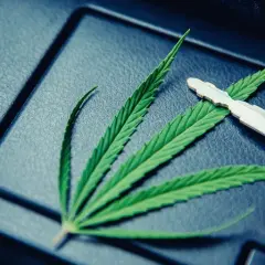Marihuana w Niemczech: Prawo, zakazy i co z Polakami?