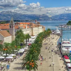 Promenada z palmami i jachtami w Trogirze, Chorwacja. Jedno z pięknych, **ciekawe miejsca w Europie**.