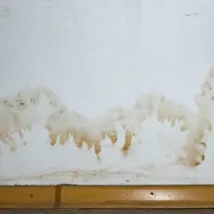 Braune Flecken und Schimmel an der weißen Wand deuten auf einen Wasserschaden hin. Was tun? Sofort handeln!