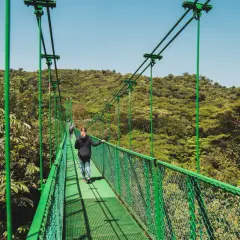 Frauen spazieren über eine Hängebrücke im Regenwald von Monteverde, Costa Rica, mit üppiger grüner Vegetation.