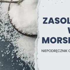 Jakie jest zasolenie Bałtyku? Fakty, które mogą zaskoczyć