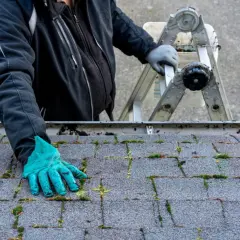 Osoba w rękawiczkach usuwa mech z dachu, pokazując jak usunąć mech z dachu.
