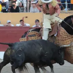 Un picador a caballo se enfrenta a un toro negro de la ganadería Raso de Portillo. El toro tiene marcas en el lomo.