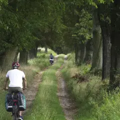 Dwaj rowerzyści przemierzają malowniczą szymbark trasę wśród drzew.