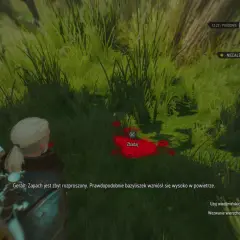 Geralt bada ślady bazyliszka, szukając go w trawie. Wiedźmińskie zmysły pomogą odnaleźć stworzenie, przywracając równowaga w przyrodzie.
