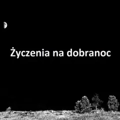 Nocny krajobraz z księżycem i drzewami. Tekst "Życzenia na dobranoc" zaprasza do snu.