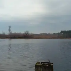 Najlepsze jeziora komercyjne w Pomorskim na wędkowanie i relaks