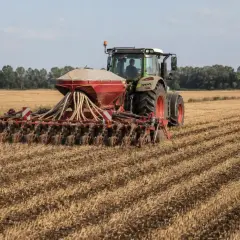 Traktor z siewnikiem pracuje na polu, siejąc rzepak. Maszyna rozsiewa nasiona, przygotowując pole do przyszłych zbiorów.