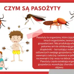 Ilustracja pokazuje kleszcze, komary i inne **gzy owad**, które atakują przerażonego chłopca.