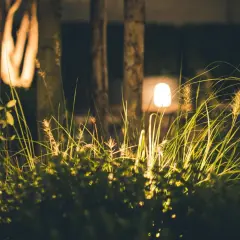 Nocne oświetlenie ogrodu inspiracje: trawy i krzewy rozświetlone ciepłym blaskiem lamp, tworząc magiczną atmosferę.