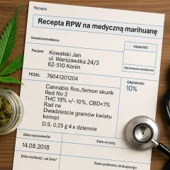 Medyczna marihuana: Kup legalnie! Recepta, apteka, koszty