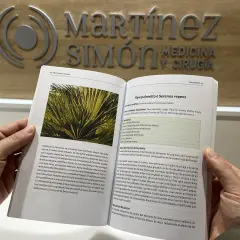 Saw palmetto para que sirve: esta planta, Serenoa repens, se usa para tratar problemas de próstata y cabello.